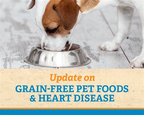Maybe you would like to learn more about one of these? Update: Grain-Free Pet Foods & Heart Disease - Aztec ...
