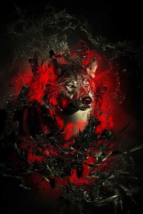 Fiery Wolf On Behance Shadow Wolf Pet Wolf Wolf Wallpaper