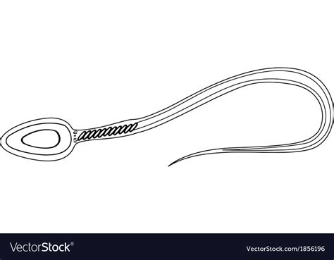 Sperm Cell Royalty Free Vector Image Vectorstock