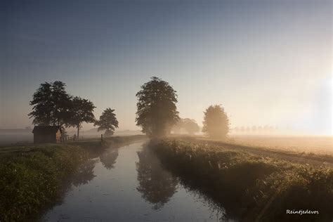 Wallpaper Mist Fog Morning Sky Tree Dawn Atmosphere Sunrise