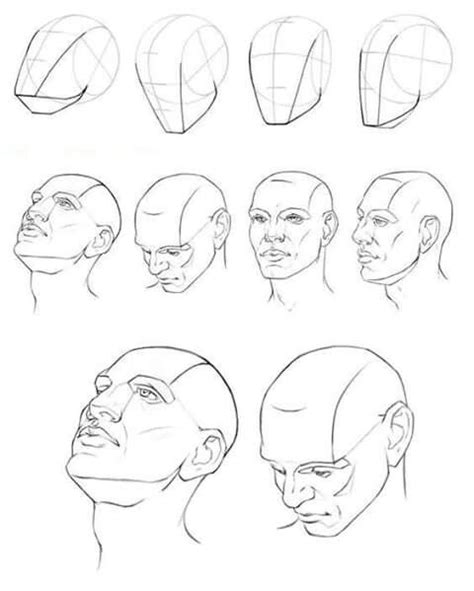 Pin By Avery On Anatomy Headneck Step By Step Drawing Face