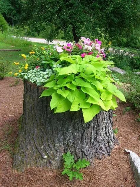 How To Make Your Own Tree Stump Planter Diy Projects For Everyone