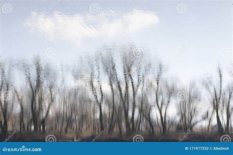 Blurry River Water Reflection Of The Bare Trees Stock Photography