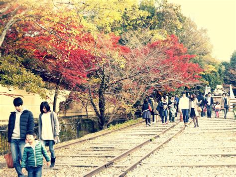 Seperti kebanyakan jeju, tempat ini juga sering berubah musim tetapi musim yang terbaik untuk melawat ke tempat ini adalah pada musim bunga dan kawasan ini juga terkenal dengan ekosistem menegak tumbuhan yang dihasilkan dari suhu yang berbeza di sepanjang pegunungan dan sekali. JEMPOLSLIFE: How to live at kyoto - 4 Musim Di Jepun