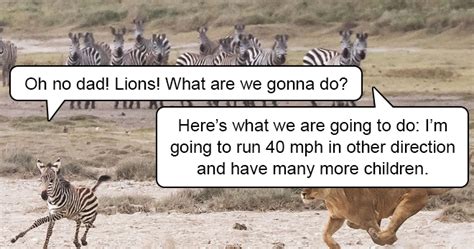 Nature Explained How Animals Survive In The Wild The Funniest Blog