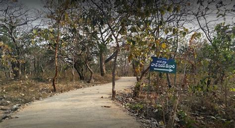 Narsapur Urban Forest Park Timing Entry Ticket Price And Location