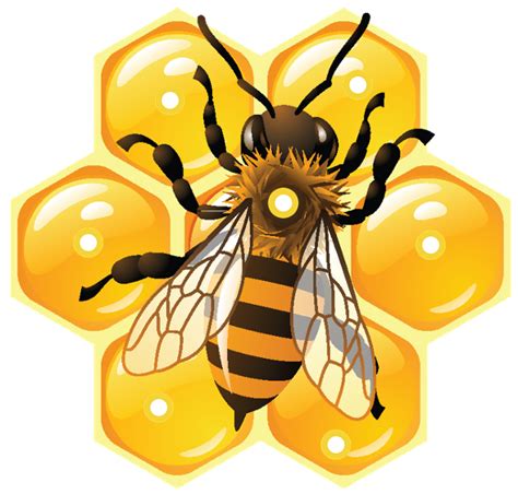 Honeycomb Clipart Beehive Honeycomb Beehive Transparent Free For