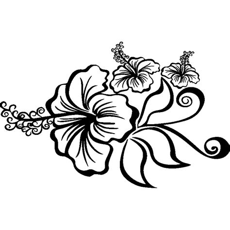 Sketch Bunga Raya Drawing Hibiscus Flower Art Print By Jwpeggy001