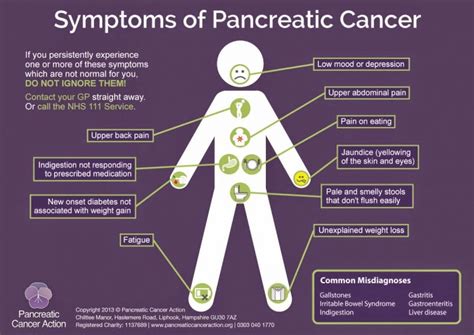 Pancreatic Liver Cancer Health And Disease