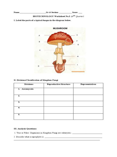 Fungus Worksheet 1 Pdf Fungus Taxa