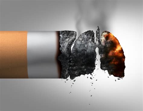 Les Effets Du Tabac Sur La Santé Conseils Sante Dz