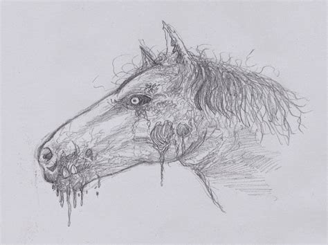 Draw shadows with dark brown crayon. Wayne Tully Horror Art: How To Draw A Zombie Horse Head Video