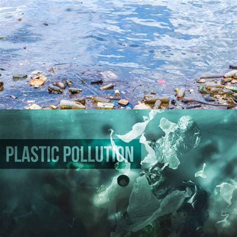 Reducing Plastic Waste Planetary Concerns