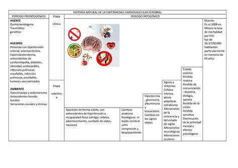 Historia Natural De La Enfermedad Cardiovascular Cerebral Historia