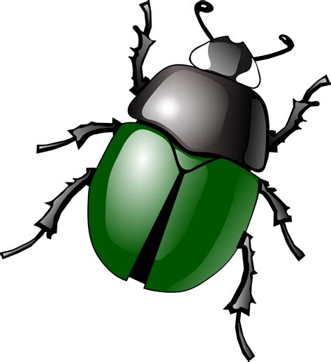 Beetle Clip Art