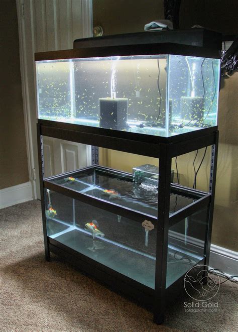 Fish Tank Stand For Multiple Tanks