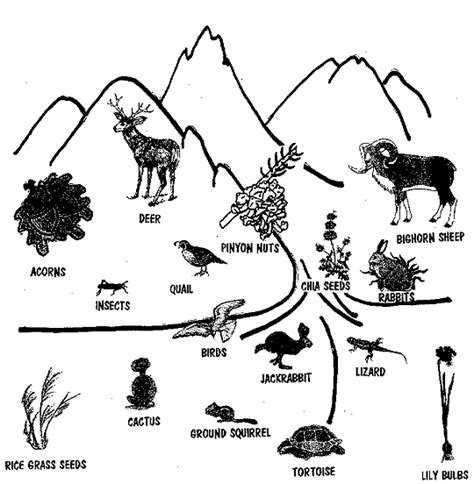 Natural Resources Coloring Page Sketch Coloring Page