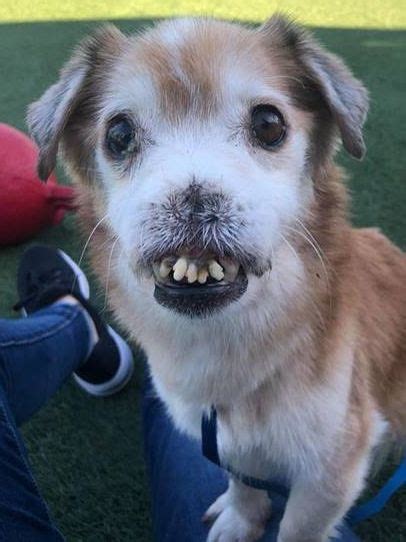 Being born with multiple teeth is even more rare. Pin on Kids