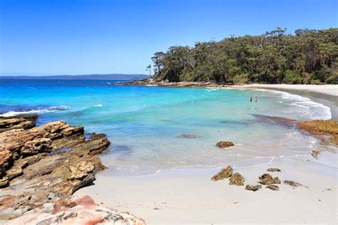 Guide To Jervis Bay Nsw Wiki Australia