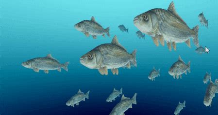 Maybe you would like to learn more about one of these? How To Animate A Fish Swimming With Shaders