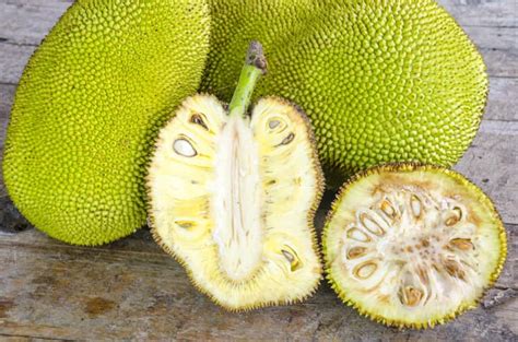 ¿qué Es La Yaca O Jackfruit Estado Natural