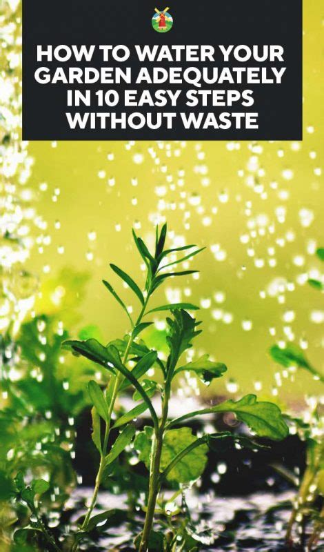 If you have a productive plant outside and there is a risk of an early frost, consider bring the plant under cover to allow it to produce for a little longer. Watering Your Plants: How Often, When to Do It, and 10 ...