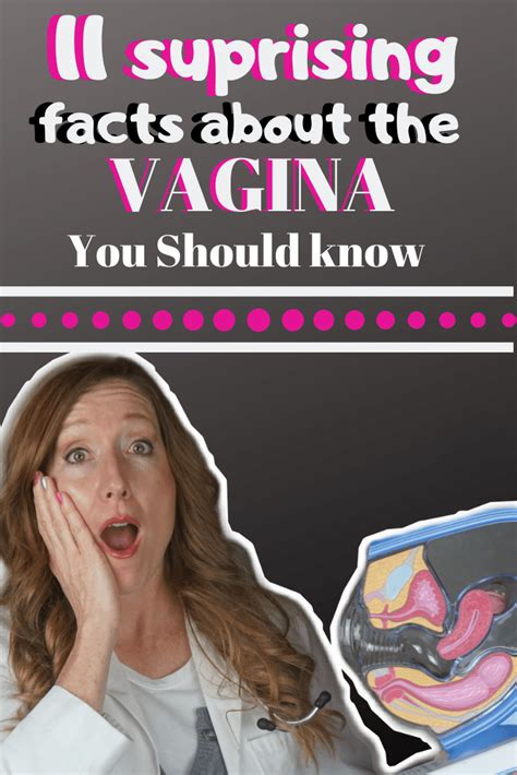 11 interesting facts about the vagina diana in the pink