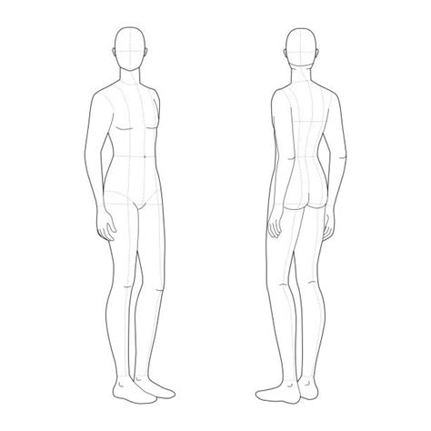 Anatomy Dummy Drawing Illustrations Royalty Free Vector Graphics