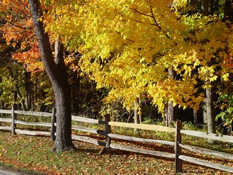 Fall In The Country Free Photo Download Freeimages
