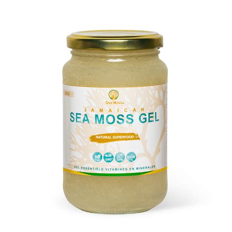 Organic Sea Moss Gel 8 Flavors 16 Ounce Real Fruit Wildcrafted Sea
