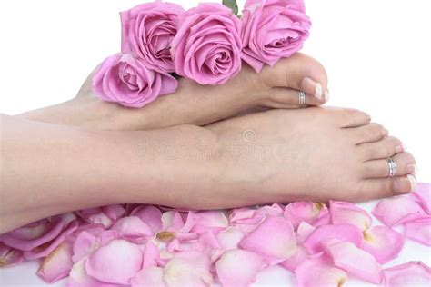 Woman Feet And Flowers Over White Stock Image Image Of Sensual Waxed