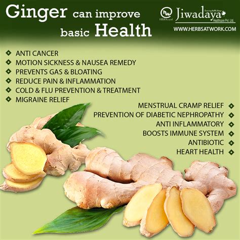 Benefits Of Ginger Adrak For Skin Health Get Clear Skin