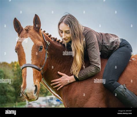 M Dchen Sitzt Auf Dem Pferd Fotos Und Bildmaterial In Hoher Aufl Sung