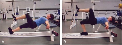 The hamstrings are the muscles of the posterior compartment of the thigh and include the: (A) Slide board single-leg glute bridge with hamstring curl. Straighten... | Download Scientific ...