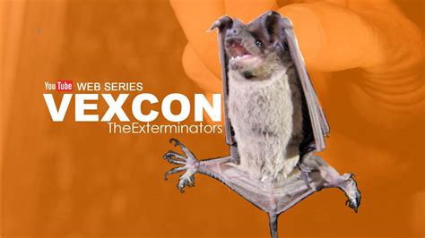 Vexcon The Exterminators Web Series Episode 3 Bats Evacuation Youtube