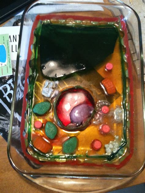 Maybe you would like to learn more about one of these? Plant Cell jello jigglers | Brian | Pinterest