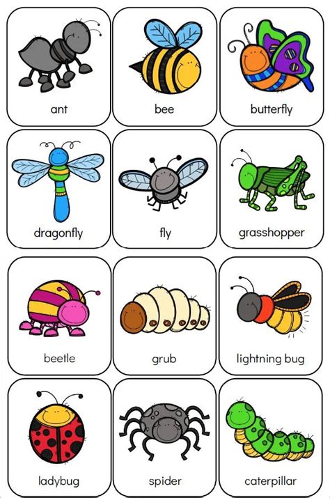 Free Insect Printable Cards Photo
