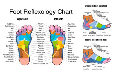 Left Foot Reflexology Self Development Institute