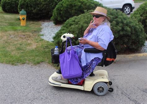 Crystal clear pest control specialise in termite inspections and treatments and provide a ten year guarantee on all their pest control services. Elderly Kelowna woman's smoking on public street triggers ...