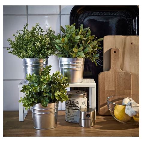 Furnishing with flowers is never a bad idea. 6 Herb Garden Ikea Socker Galvanized Steel Flower Plant ...