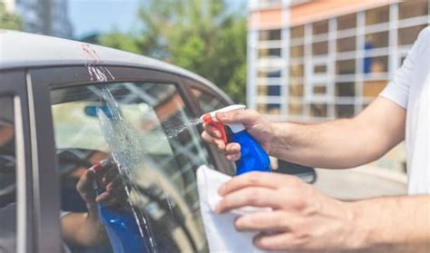 How To Remove Bird Poop Stains From Car 8 Easy Ways