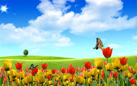 Beautiful Flowers Scenery Hd Wallpaper Bios Pics