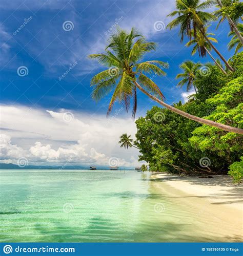 Idillyc Landscape Of Tropical Beach Warm Sea Palm Trees Blue Sky