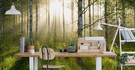 Wallpaper and other wall graphics and materials are a fun and inexpensive way to transform a room. Wall Murals & Wallpaper Murals | Wallsauce US