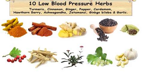 How to use hbp guidebook for your revolutionary alternative treatment program in the reversal, prevention and the reduction of high blood pressure. Low blood pressure Herbs; 10 Herbal Remedies for Hypotension