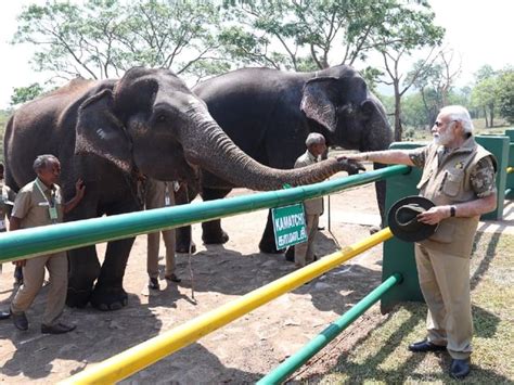 In Pictures Pm Narendra Modi Meets The Elephant Whisperers Stars