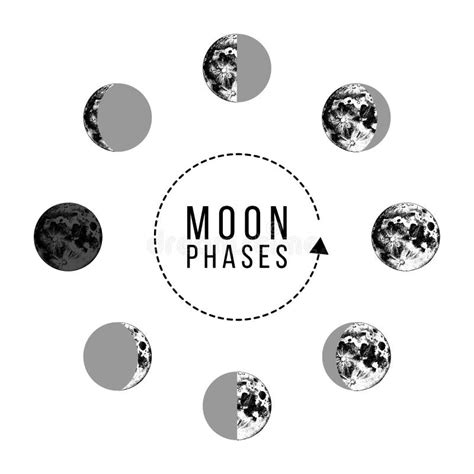 Moon Os ícones Das Fases Ciclo Inteiro Da Lua Nova à Lua Cheia