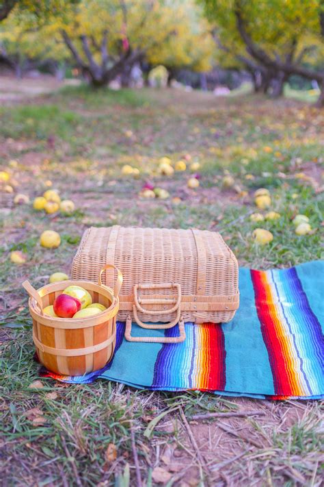 Hidden Gems Inside Apple Hill - Just Outside Sacramento!