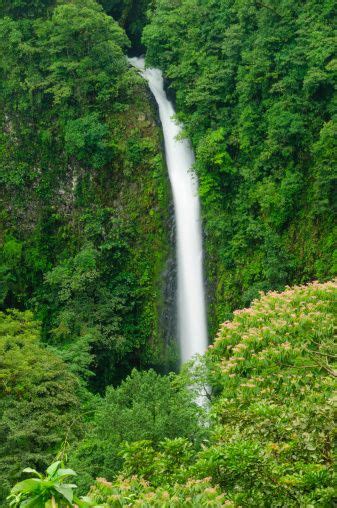 Waterfall In A Lush Tropical Rainforest In Costa Rica La Fortuna