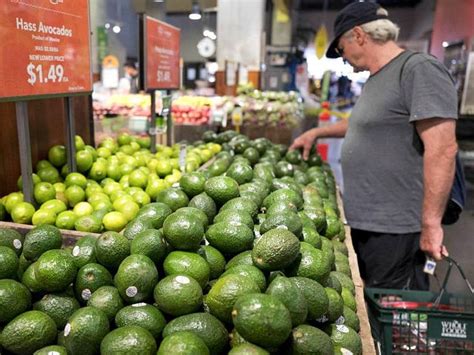 I am grateful to the state and local officials who helped administer the program, to the wholesalers and retailers who distributed the food, to the banks who redeemed the coupons and. 1.4 Million Households Drop Off Food Stamps Under Trump